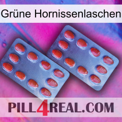 Grüne Hornissenlaschen 05